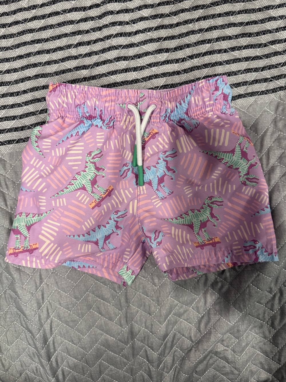 Cat & Jack Lavender Dinosaur Drawstring Shorts - Size 12M